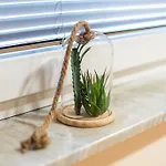 Elegant And Stylish Retreat With Terrace - With Terrace