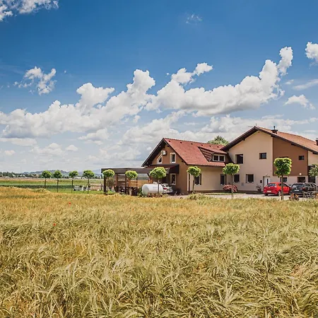 Appartement Elegant And Stylish Retreat With Terrace - With Terrace *