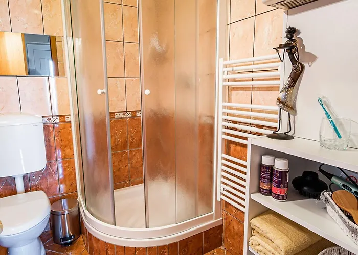 Elegant And Stylish Retreat With Terrace - With Terrace Appartement Brežice