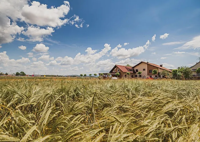 Elegant And Stylish Retreat With Terrace - With Terrace Brežice