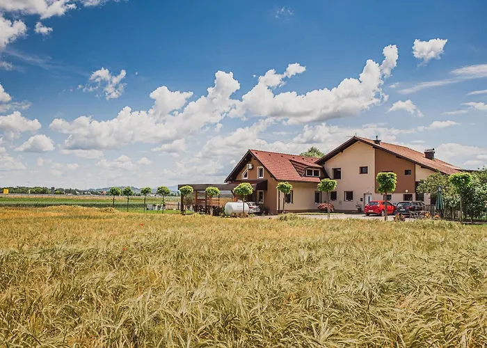 Appartement Elegant And Stylish Retreat With Terrace - With Terrace *