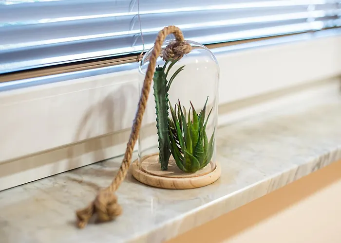 Elegant And Stylish Retreat With Terrace - With Terrace